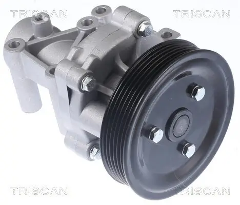Wasserpumpe, Motorkühlung TRISCAN 8600 43023 Bild Wasserpumpe, Motorkühlung TRISCAN 8600 43023