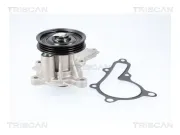 Wasserpumpe, Motorkühlung TRISCAN 8600 43034
