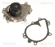 Wasserpumpe, Motorkühlung TRISCAN 8600 43036
