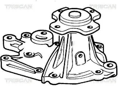 Wasserpumpe, Motorkühlung TRISCAN 8600 69001 Bild Wasserpumpe, Motorkühlung TRISCAN 8600 69001