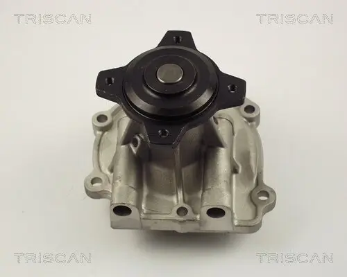 Wasserpumpe, Motorkühlung TRISCAN 8600 69003