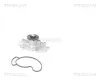 Wasserpumpe, Motorkühlung TRISCAN 8600 69015 Bild Wasserpumpe, Motorkühlung TRISCAN 8600 69015