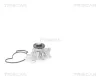 Wasserpumpe, Motorkühlung TRISCAN 8600 69015 Bild Wasserpumpe, Motorkühlung TRISCAN 8600 69015