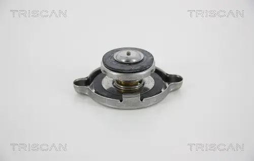 Verschlussdeckel, Kühler TRISCAN 8610 7