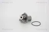 Thermostat, K&uuml;hlmittel TRISCAN 8620 16382