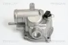 Thermostat, Kühlmittel TRISCAN 8620 19587