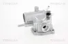 Thermostat, K&uuml;hlmittel TRISCAN 8620 20192