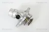 Thermostat, Kühlmittel TRISCAN 8620 213105