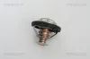 Thermostat, Kühlmittel TRISCAN 8620 21791