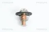 Thermostat, K&uuml;hlmittel TRISCAN 8620 24582