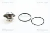 Thermostat, Kühlmittel TRISCAN 8620 2582