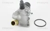 Thermostat, K&uuml;hlmittel TRISCAN 8620 28688
