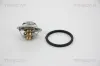 Thermostat, Kühlmittel TRISCAN 8620 29082