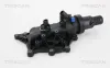 Thermostat, K&uuml;hlmittel TRISCAN 8620 30883