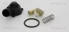 Thermostat, K&uuml;hlmittel TRISCAN 8620 32180