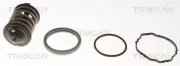 Thermostat, Kühlmittel TRISCAN 8620 33380
