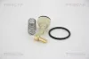 Thermostat, Kühlmittel TRISCAN 8620 34487