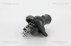 Thermostat, Kühlmittel TRISCAN 8620 37978
