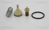Thermostat, Kühlmittel links TRISCAN 8620 40080