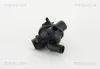 Thermostat, K&uuml;hlmittel TRISCAN 8620 437103