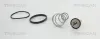 Thermostat, Kühlmittel TRISCAN 8620 44982