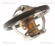 Thermostat, Kühlmittel TRISCAN 8620 48281