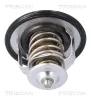 Thermostat, Kühlmittel TRISCAN 8620 55191