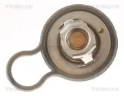 Thermostat, Kühlmittel TRISCAN 8620 55484