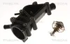 Thermostat, Kühlmittel TRISCAN 8620 55582 Bild Thermostat, Kühlmittel TRISCAN 8620 55582