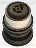 Thermostat, Kühlmittel TRISCAN 8620 55692