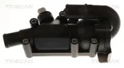 Thermostat, Kühlmittel TRISCAN 8620 60282