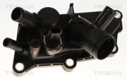 Thermostat, Kühlmittel TRISCAN 8620 60287