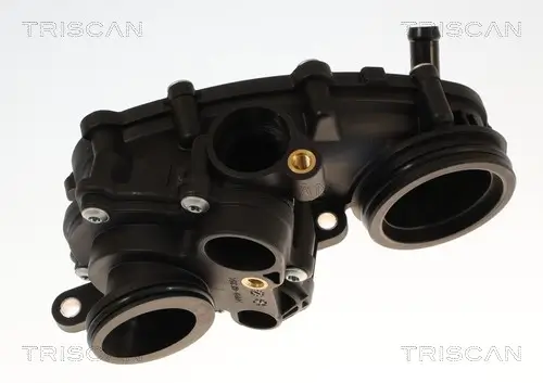 Thermostat, Kühlmittel TRISCAN 8620 60387