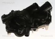 Thermostat, Kühlmittel außen TRISCAN 8620 60480