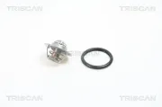 Thermostat, Kühlmittel TRISCAN 8620 9888