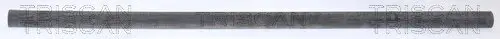 Schlauch TRISCAN 8630 10280