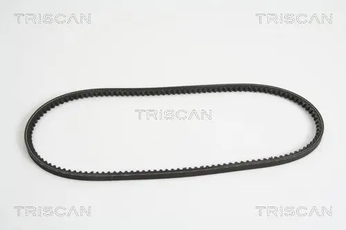 Keilriemen TRISCAN 8640 110950