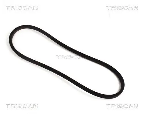 Keilriemen TRISCAN 8640 171125