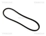 Keilriemen TRISCAN 8640 171125