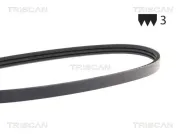 Keilrippenriemen TRISCAN 8640 300628SF