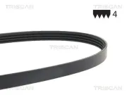 Keilrippenriemen TRISCAN 8640 400695SF
