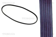 Keilrippenriemen TRISCAN 8640 600925