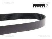Keilrippenriemen TRISCAN 8640 700778