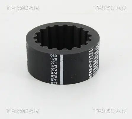 Flexible Kupplungsmuffe TRISCAN 8640 EG1