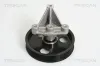 Umlenk-/Führungsrolle, Keilrippenriemen TRISCAN 8641 102031