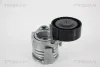 Riemenspanner, Keilrippenriemen TRISCAN 8641 113037
