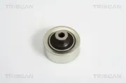 Umlenk-/Führungsrolle, Keilrippenriemen TRISCAN 8641 282013