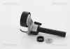 Riemenspanner, Keilrippenriemen TRISCAN 8641 292026