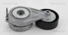 Riemenspanner, Keilrippenriemen TRISCAN 8641 293047
