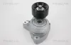 Riemenspanner, Keilrippenriemen TRISCAN 8641 403005